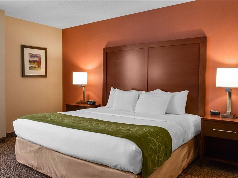 Comfort Suites Downtown Карлайл Екстериор снимка