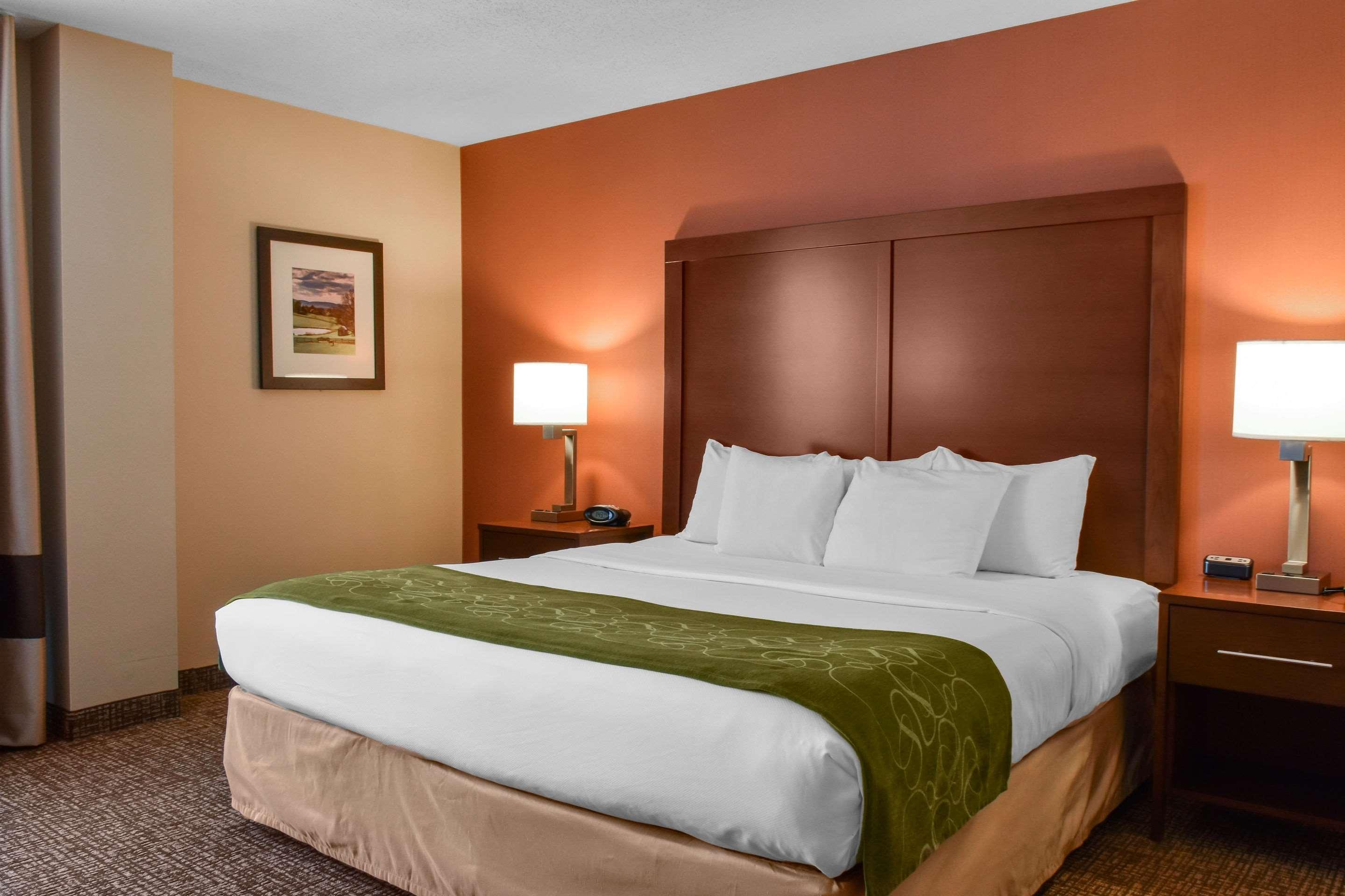 Comfort Suites Downtown Карлайл Екстериор снимка