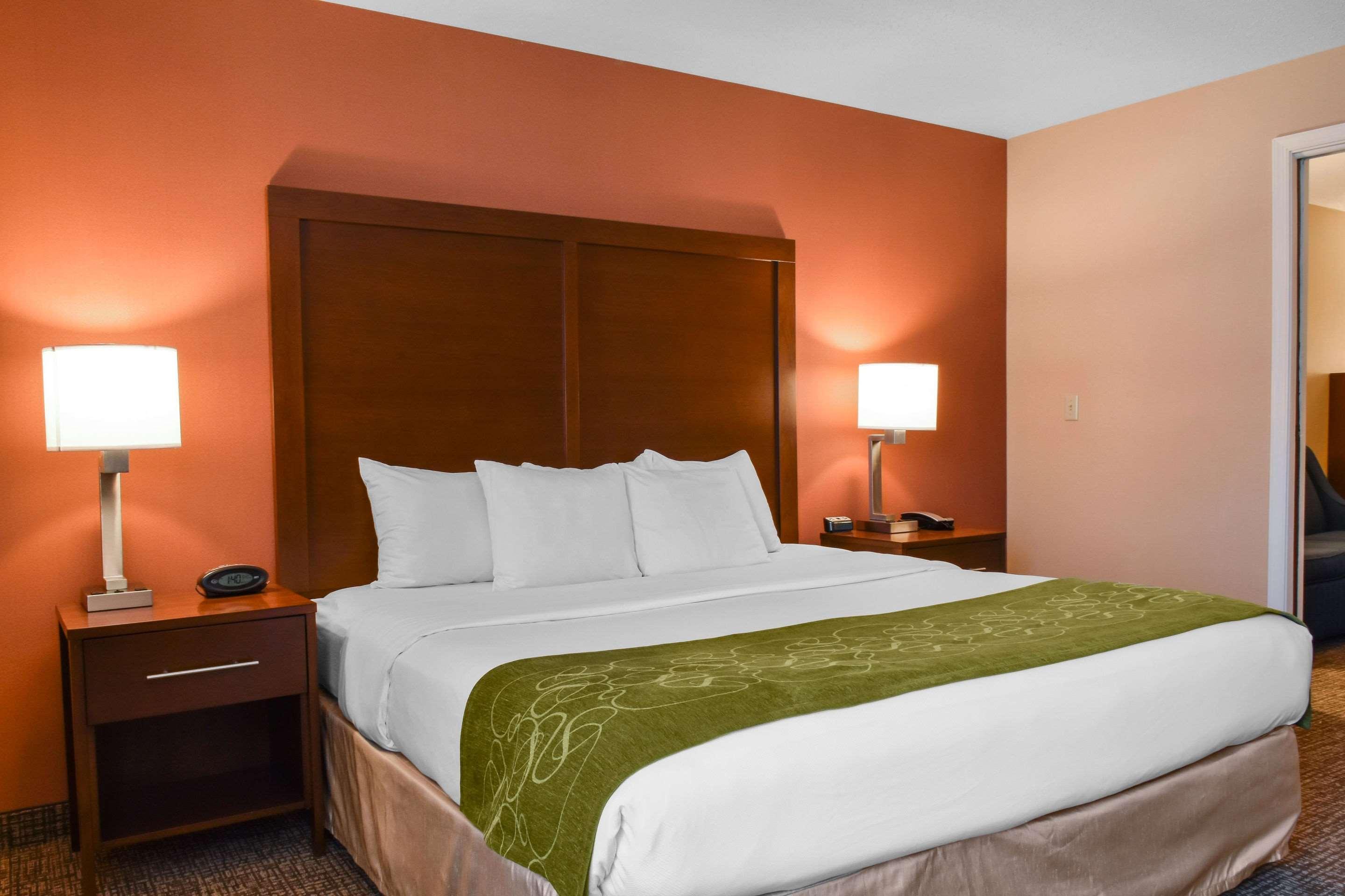 Comfort Suites Downtown Карлайл Екстериор снимка